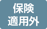 保険適用外